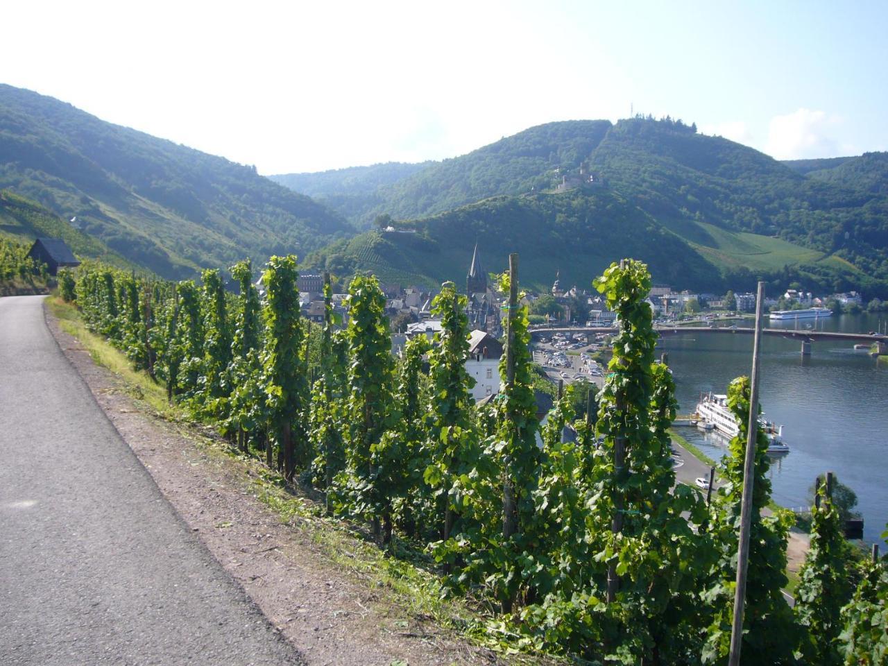 Christiana'S Wein & Art Hotel Bernkastel-Kues Ngoại thất bức ảnh
